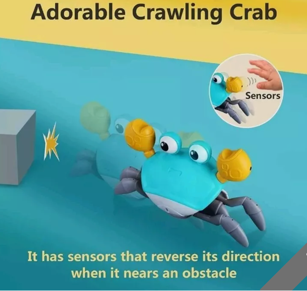 Crabby Crawls Musical Toy