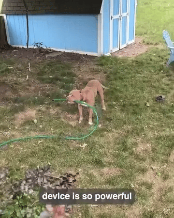 Ultimate Dog Bark Deterrent