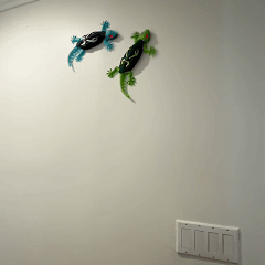 Wally™ – The Wall Climbing Gecko